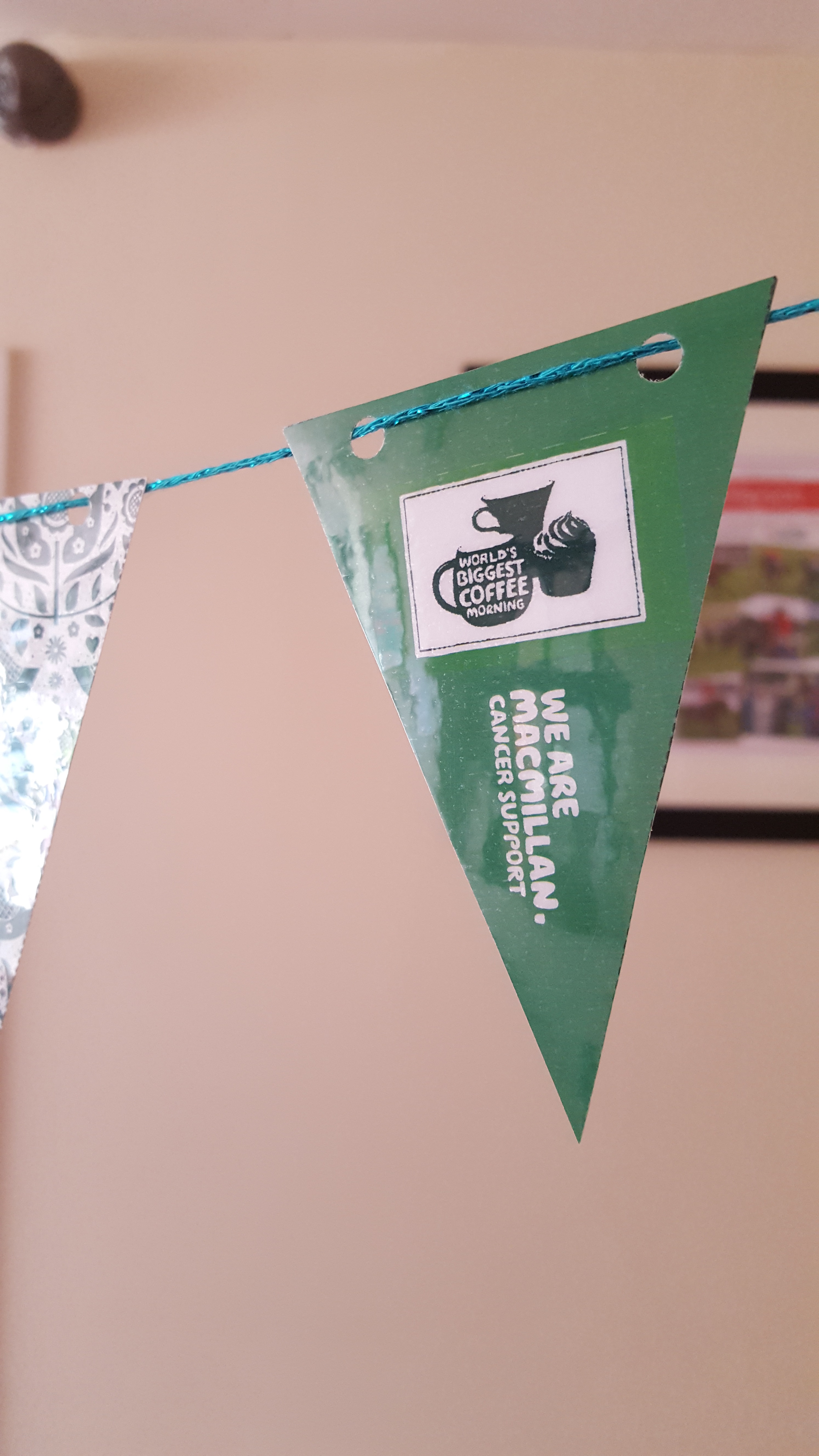 Macmillan bunting